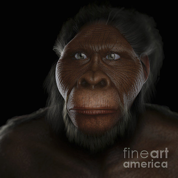 Australopithecus #1 Tapestry by Science Picture Co - Science Source Prints
