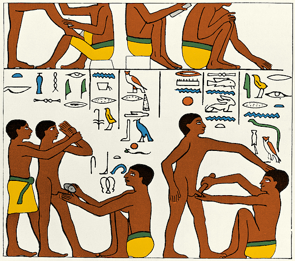 Circumcision, Ancient Egypt, 2600 Bc #1 Jigsaw Puzzle by Wellcome