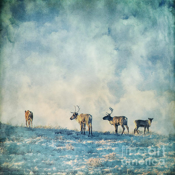 Winter Art