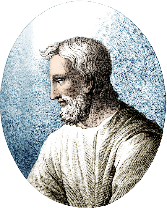 Pedanius Dioscorides, Greek Physician #2 Tapestry by Science