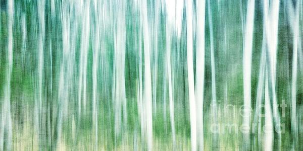 Abstract Art