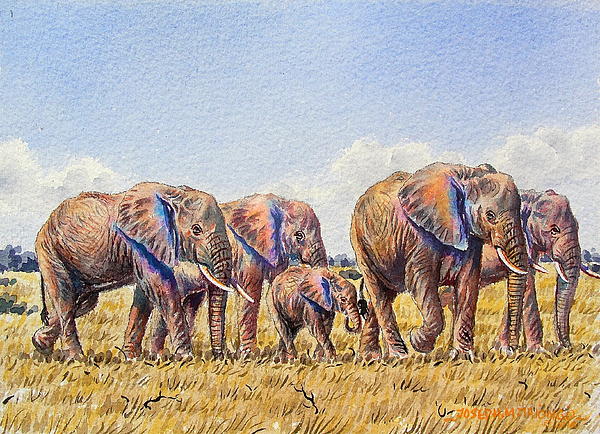 Elephant Art