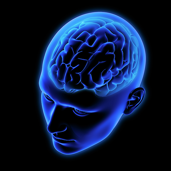 Human Brain In Blue Transparent Head Tapestry by Ikon Ikon Images