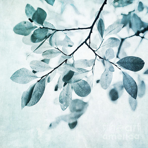 Nature Art