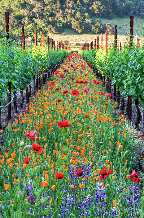 Flower Art