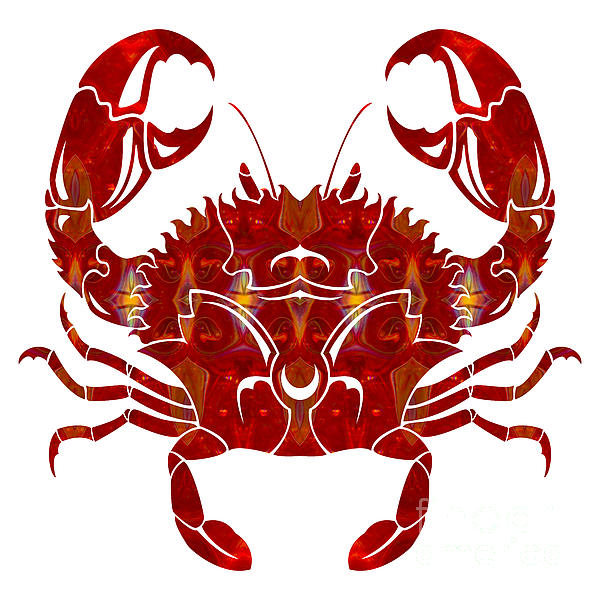 Abstract Photographs