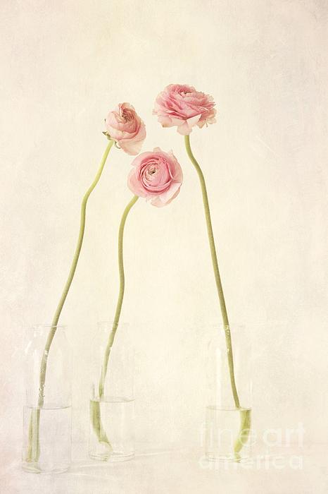 Flower Art