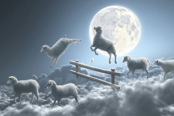 Sheep Jumping Over Fence In A Cloudy Jigsaw Puzzle by Dieter