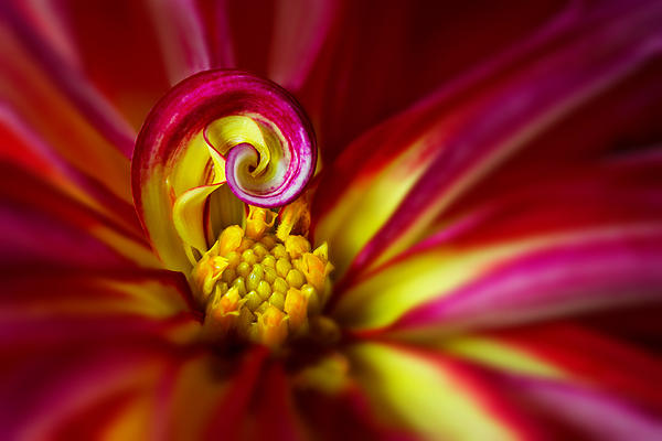 Abstract Art