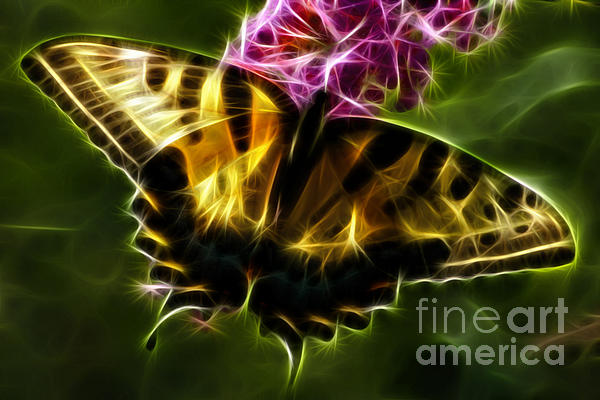 Wildlife Art