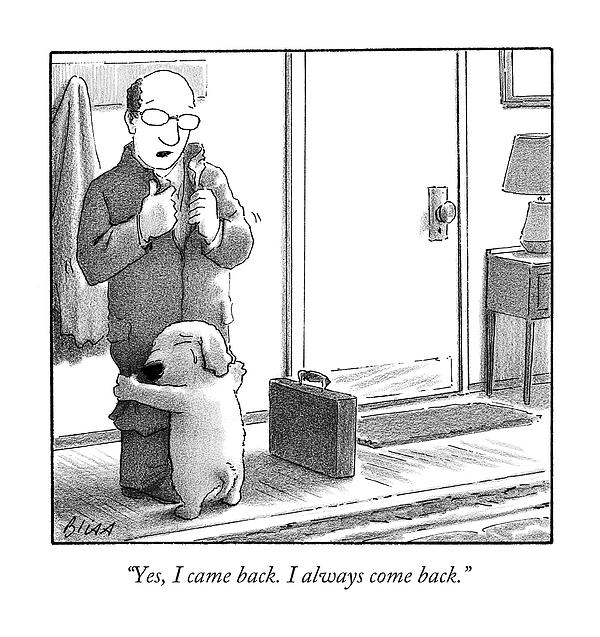 Dog Drawings