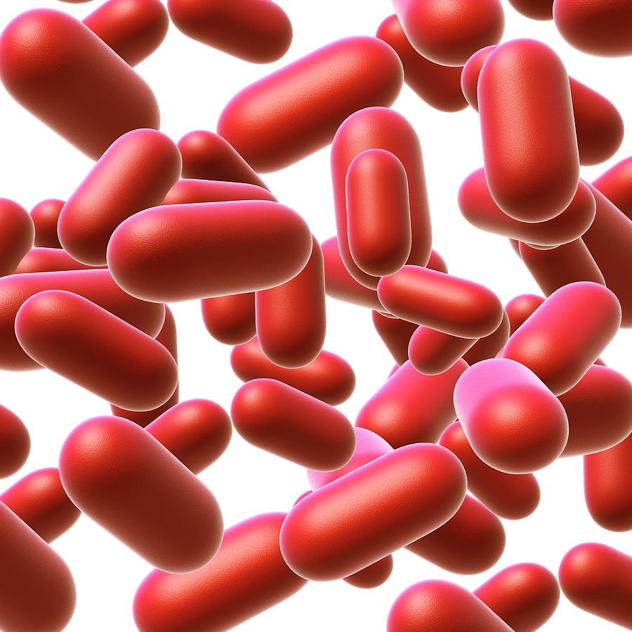 Science Photo Library Bacterias Bacteria #1 by Pixologicstudio / Science Photo Library