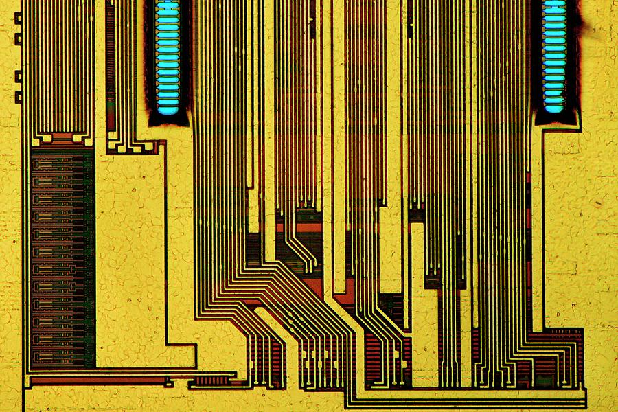 Computer Ram Module #1 by Antonio Romero / Science Photo Library