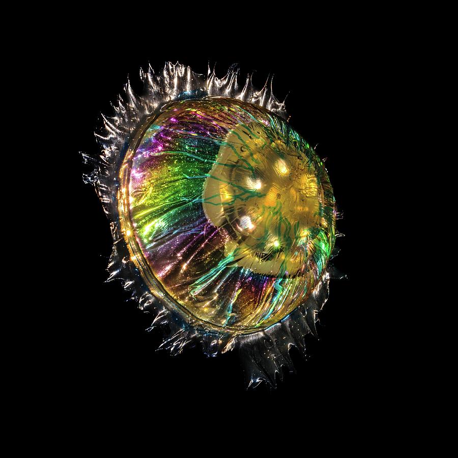 Jellyfish Sculpture In Polarized Light #1 by Robin Noorda / Science ...