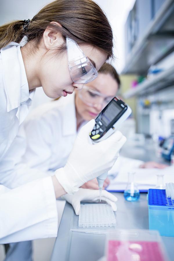 Lab Prep Assistant Lab Assistants Using Pipette #1 by Science Photo Library