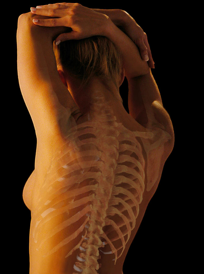 Womans Back #1 by Anatomical Travelogue