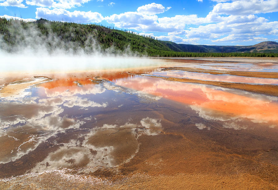 Yellowstone National Park #1 Photograph by Sue Leonard