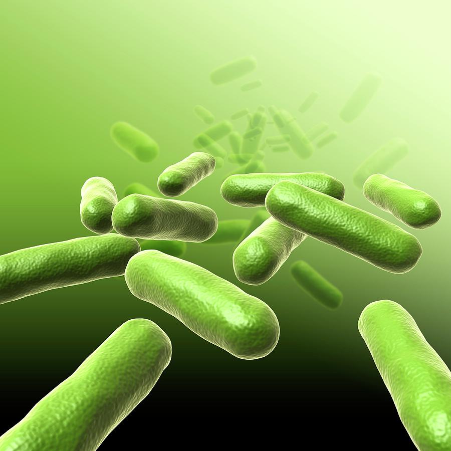 Science Photo Library Bacterias Bacteria #15 by Pixologicstudio / Science Photo Library