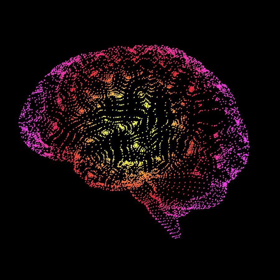 Human Brain #17 by Alfred Pasieka / Science Photo Library