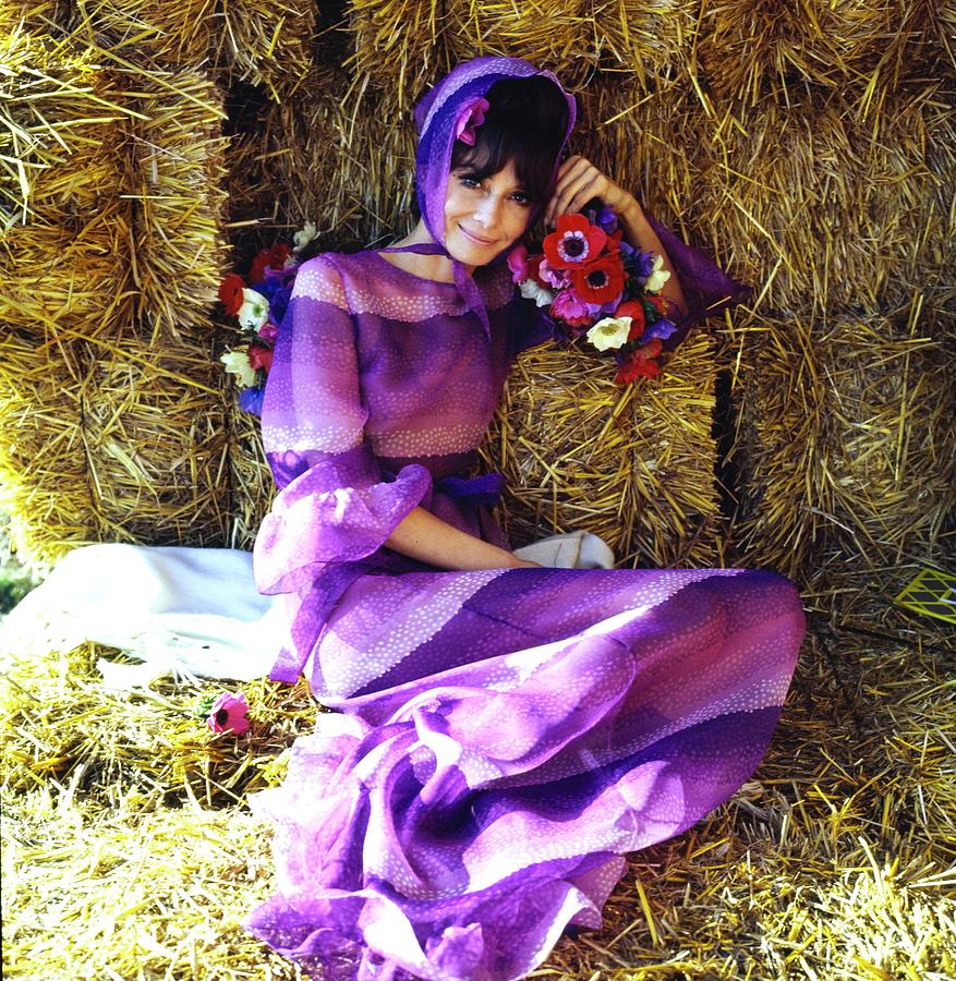 audrey hepburn purple dress Post by @thefashionofaudrey  1 image