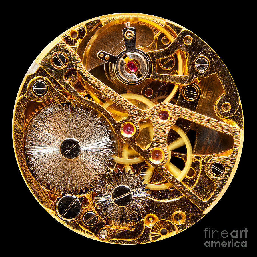 Interior of antique hand wound watch Photograph by Steven Heap