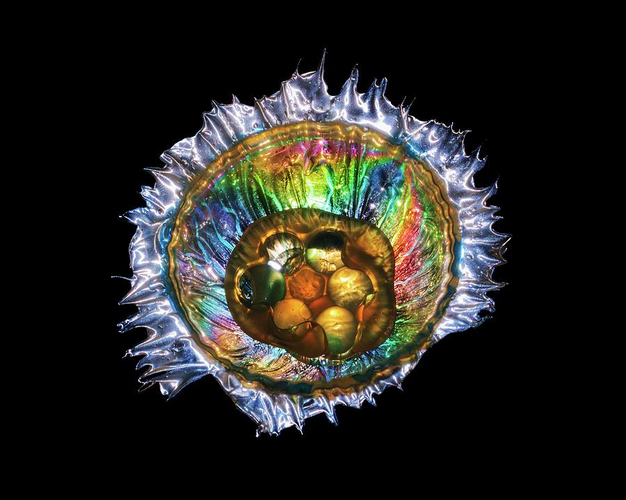 Jellyfish Sculpture In Polarized Light #2 by Robin Noorda / Science ...
