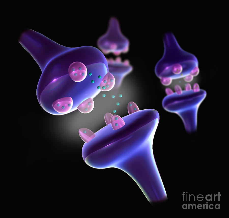 Synapses, Illustration #2 by Spencer Sutton