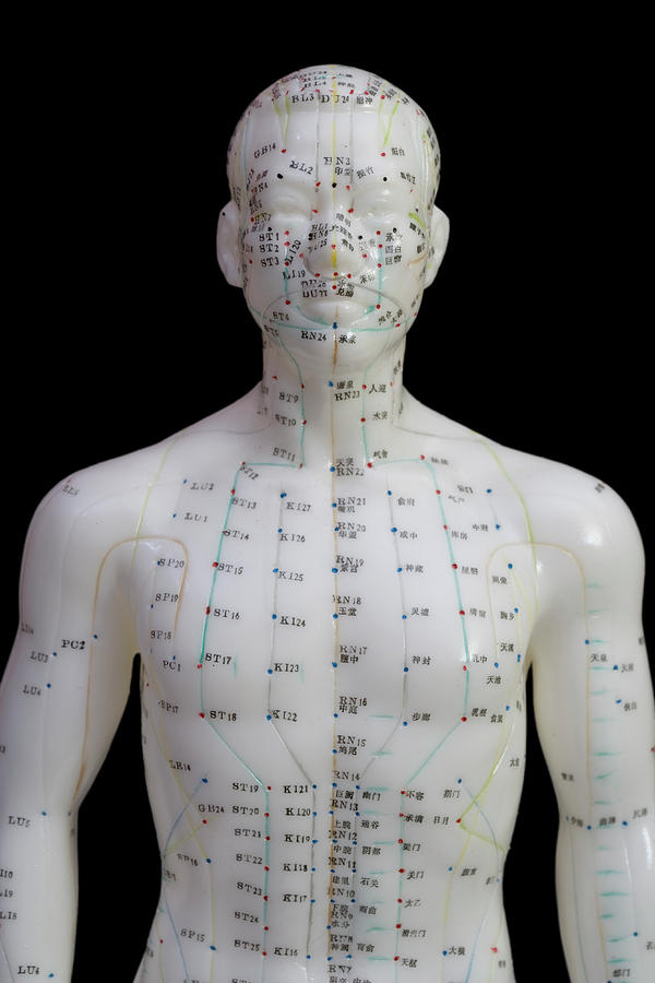 Human Model Showing Acupuncture Points #40 by Science Stock Photography ...