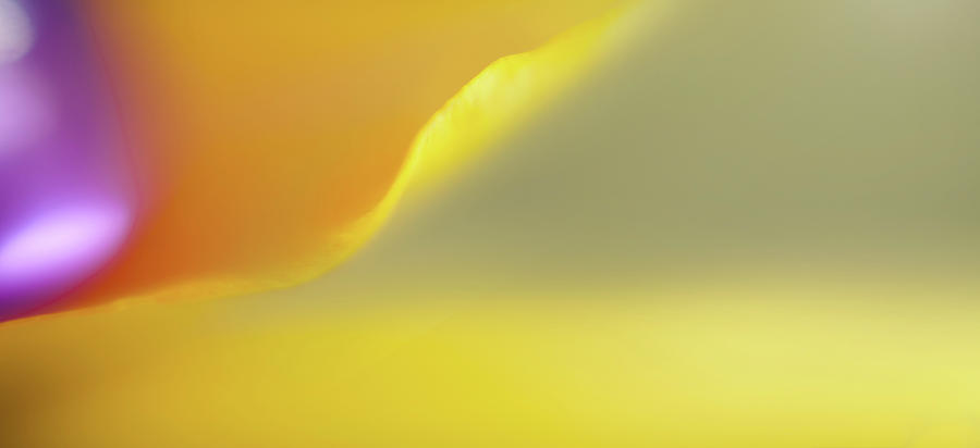 Abstract Colored Forms And Light #46 by Ralf Hiemisch