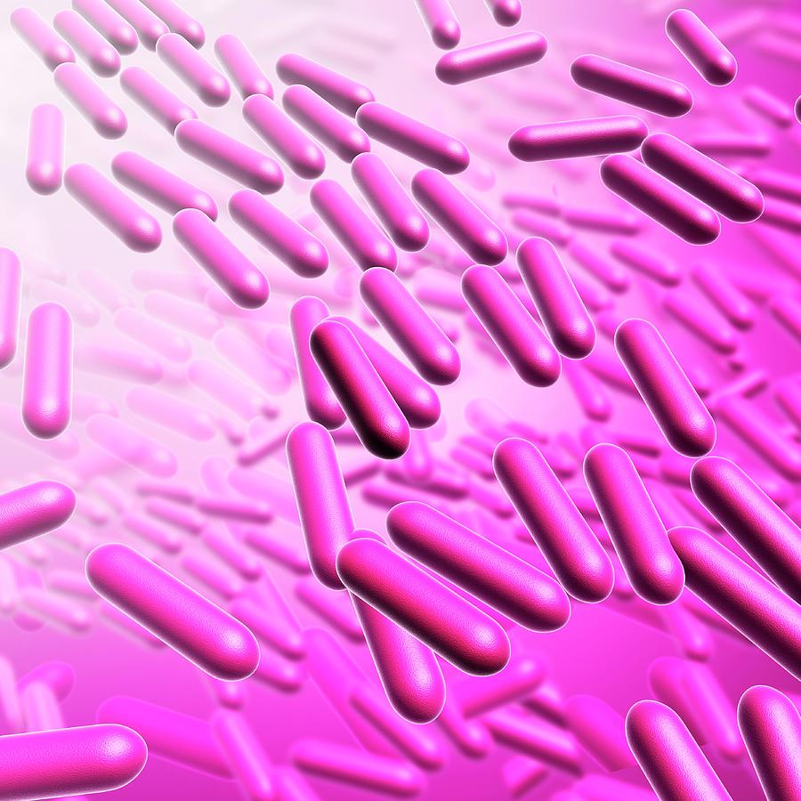 Science Photo Library Bacterias Bacteria #5 by Pixologicstudio / Science Photo Library
