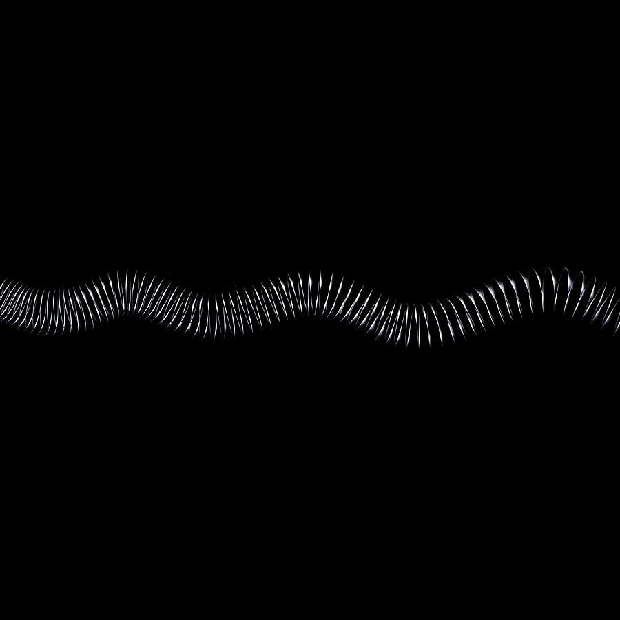 Transverse Wave #6 by Science Photo Library