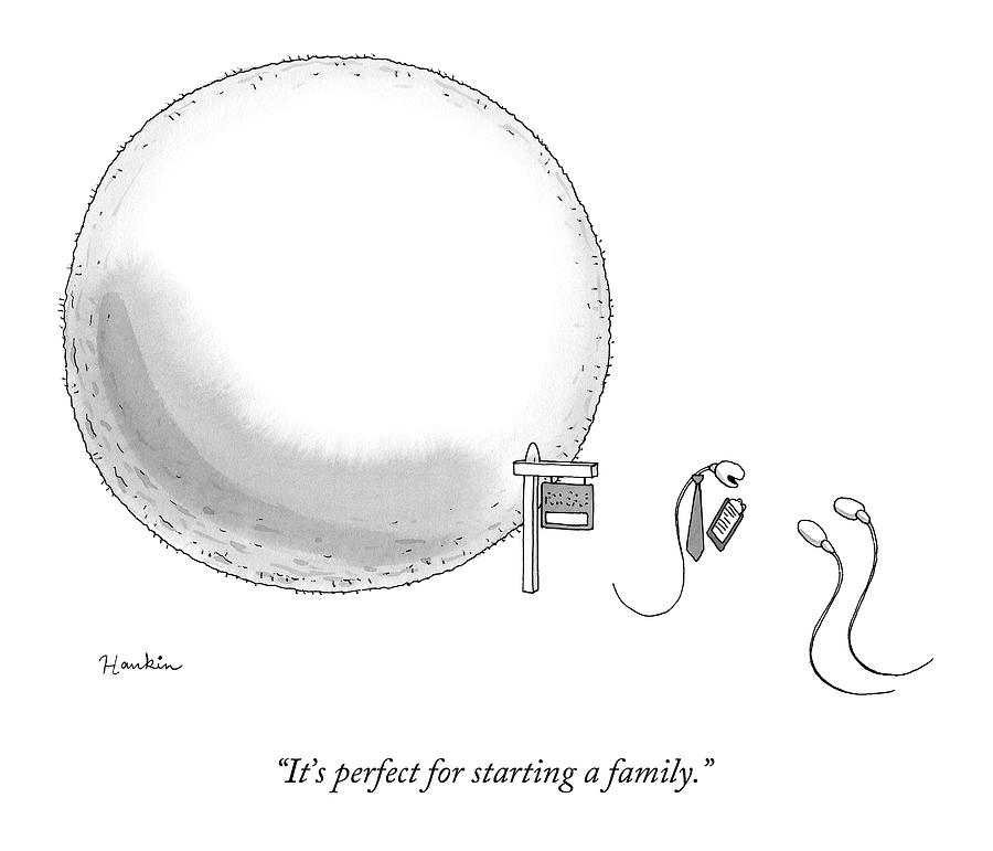 A Real-estate Sperm Selling A House Egg To Two Drawing by Charlie Hankin