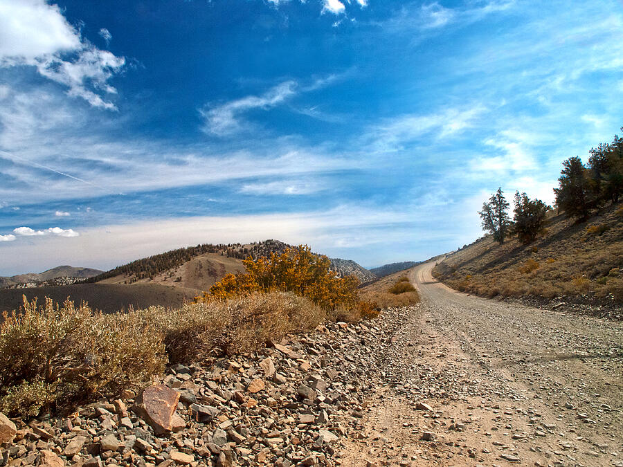 A Sense of the West Photograph by Joe Schofield