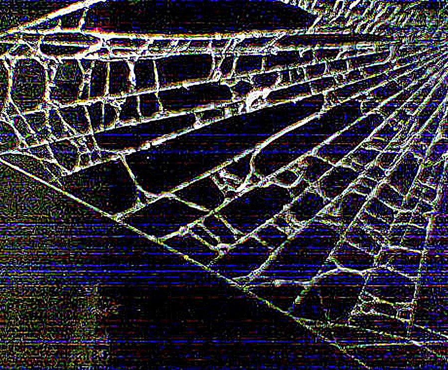 Abstract - Arachnid View Photograph by Richard Reeve