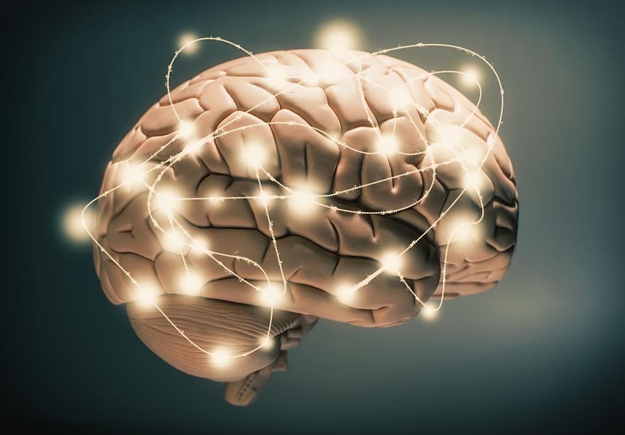 Active human brain Photograph by PM Images