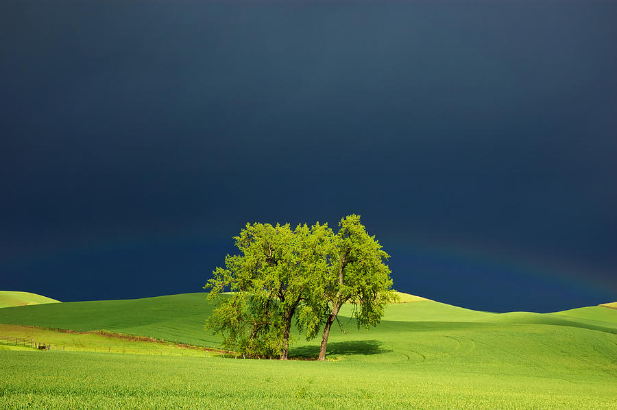 As the Sun Returns Photograph by Mary Lee Dereske