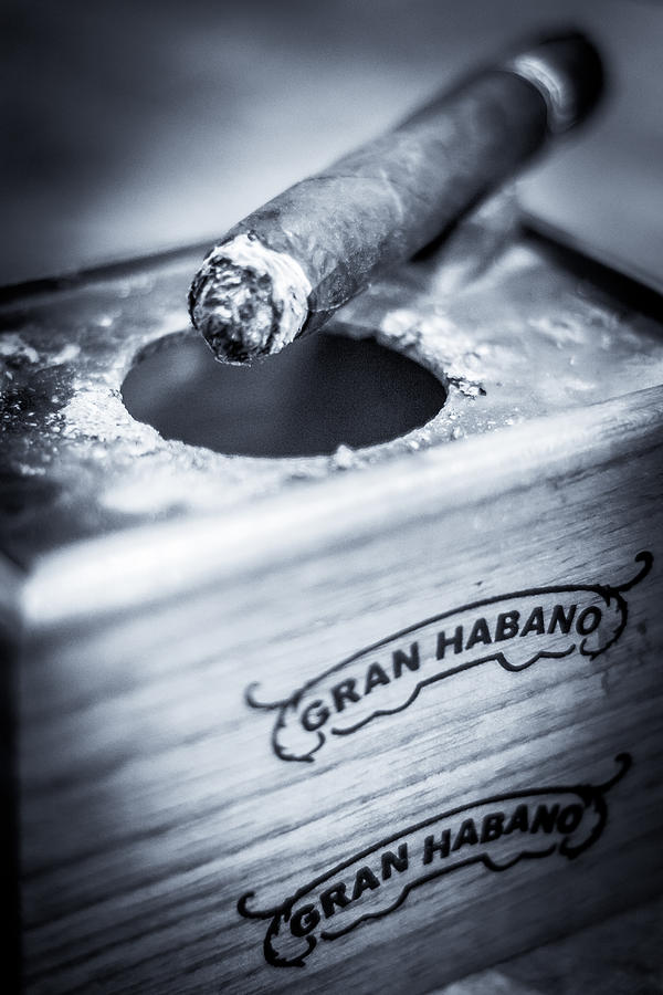 Cigar Resting on Ashtray Photograph - Ashes of Relaxation by David Morefield