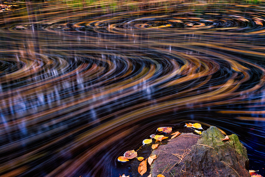 Autumn Chaos Photograph by Jeff Sinon