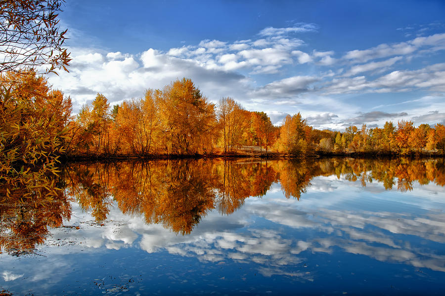 Autumn Reflection Photograph by Mary Jo Allen