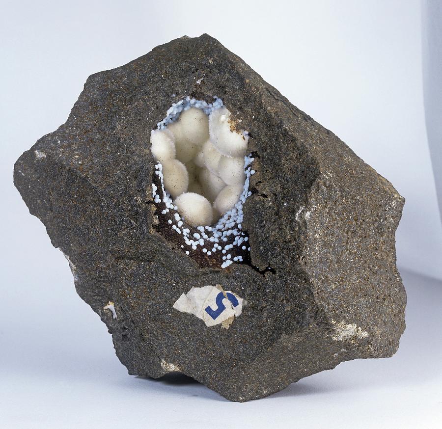 Basalt Lava Specimen by 