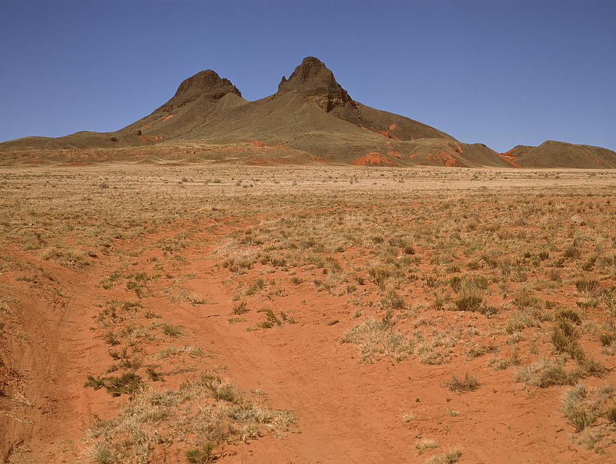 Basalt Rock Formation by Peter Falkner / Science Photo Library