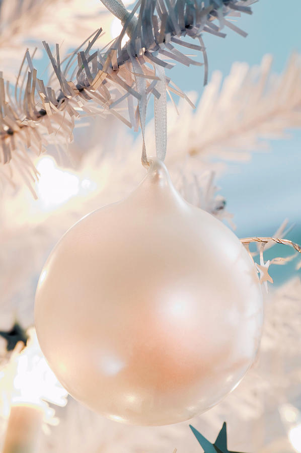 Library Bauble Bauble by Gustoimages / Science Photo Library