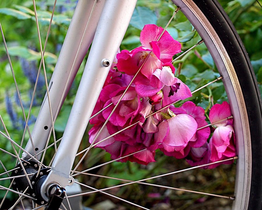 Bicycle with Pink Flowers Photograph - Bespoke Flower Arrangement by Rona Black