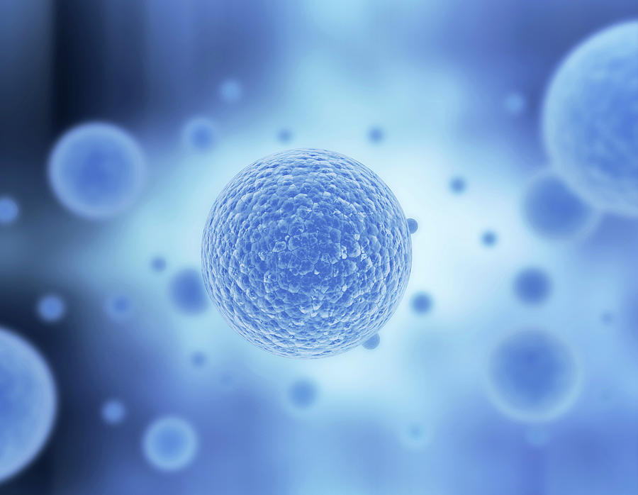 Blue Cell by Jesper Klausen / Science Photo Library