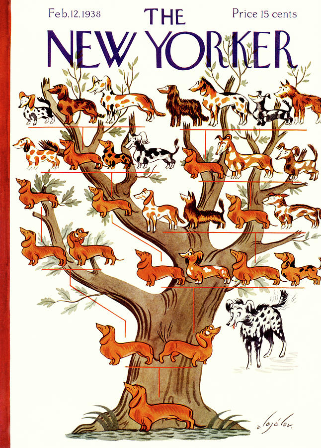 New Yorker February 12, 1938 by Constantin Alajalov