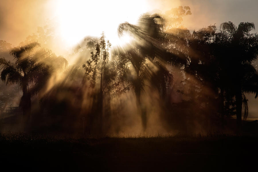 Burst Photograph by Nicholas Blackwell