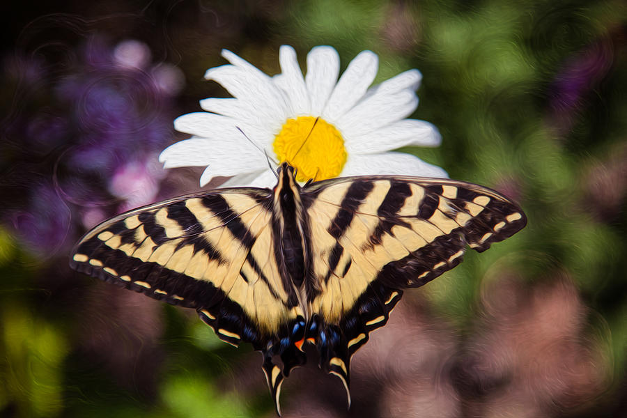 Butterfly Kisses Painting by Omaste Witkowski