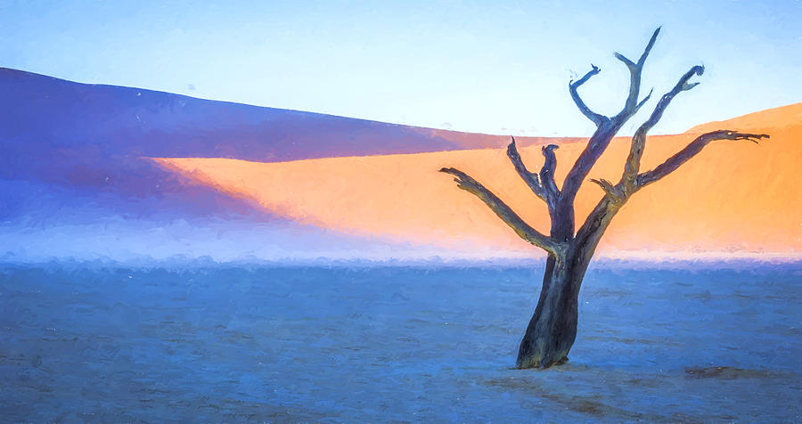 Camel Thorn Dawn - Dead Vlei Digital Art Photograph by Duane Miller