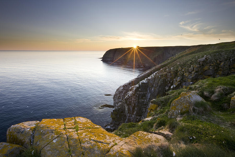 Cape St. Marys Newfoundland Photograph by Benedek