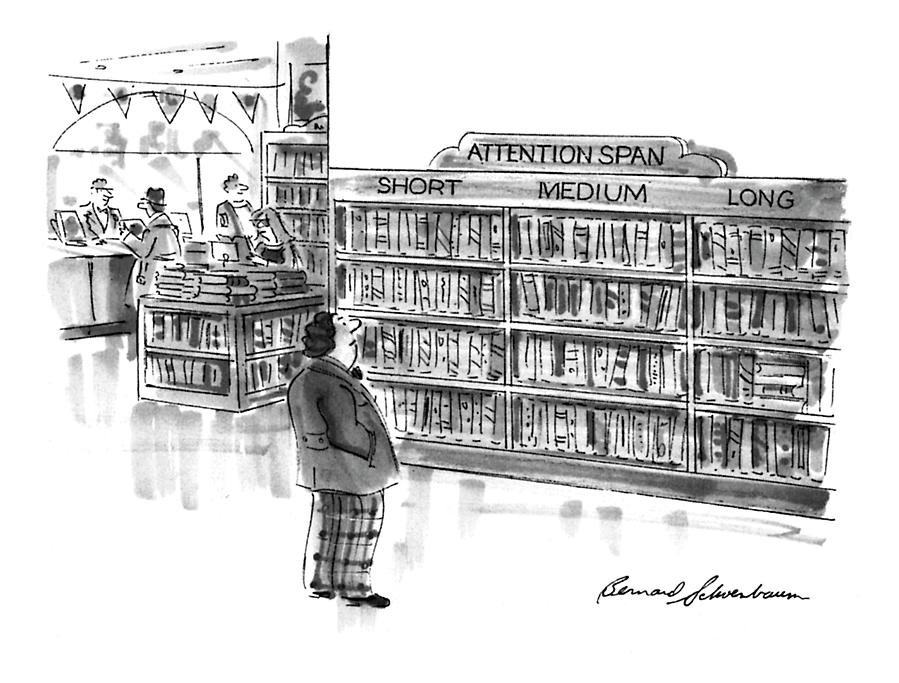 Captionless
A Library Book Shelf Is Divided Drawing by Bernard Schoenbaum